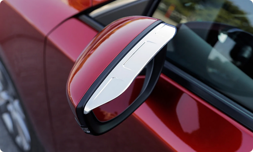 Rearview mirror rain shields